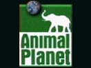 Image of animalplanet.jpg