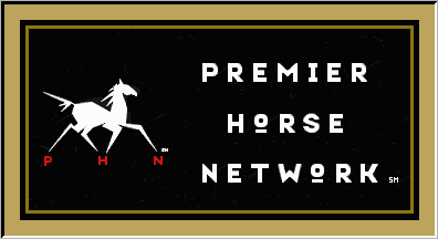 Image of horse.gif