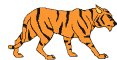 Image of tigeranm.gif